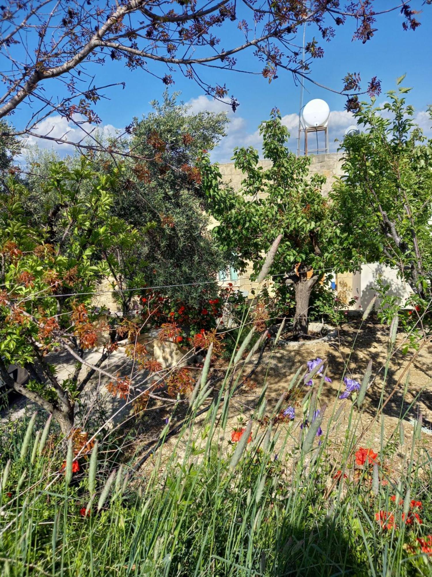 Villa Koumneni Pano Akourdalia Exterior foto