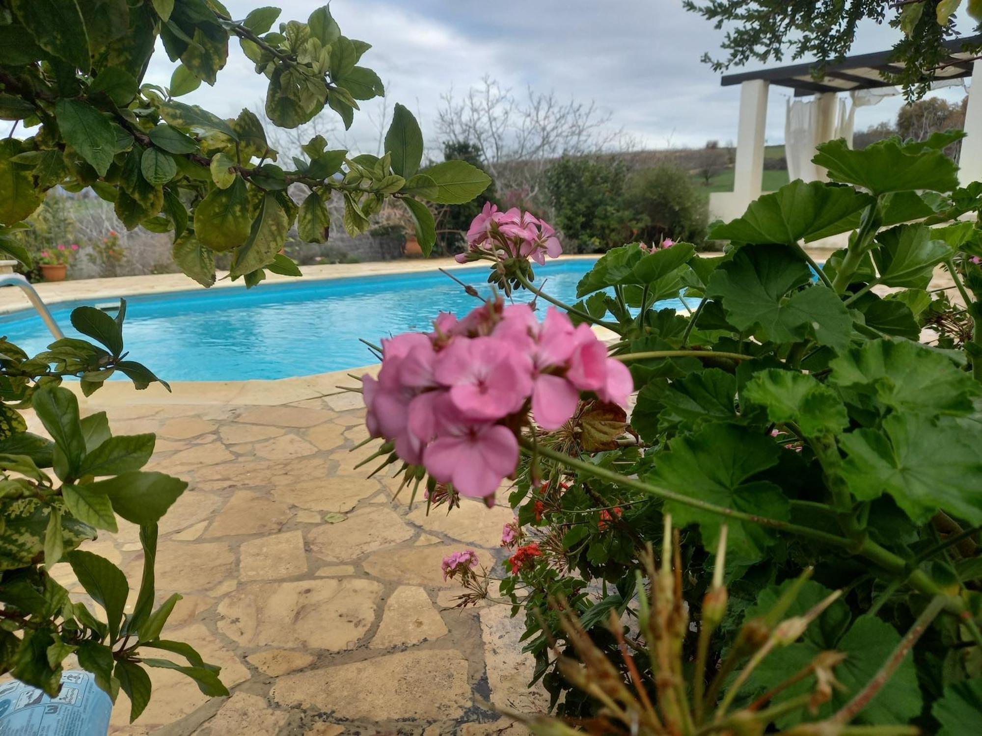 Villa Koumneni Pano Akourdalia Exterior foto