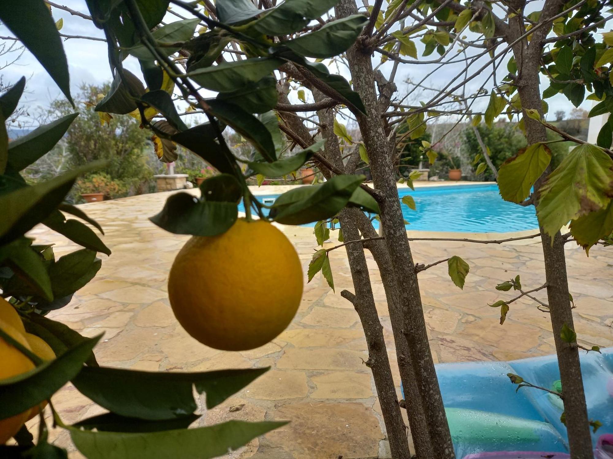 Villa Koumneni Pano Akourdalia Exterior foto